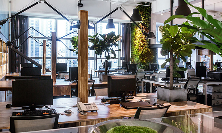 原木風(fēng)辦公室裝修效果